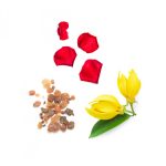 dōTERRA Console™ Vigasztaló esszenciális illóolaj-keverék 5 ml