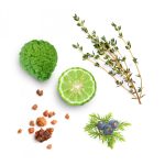 dōTERRA Forgive™ Megújító esszenciális illóolaj-keverék 5 ml