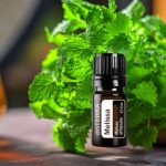 doTERRA Orvosi citromfű (Melissa) esszenciális illóolaj 5 ml