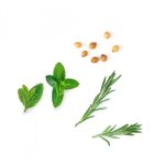 dōTERRA Motivate™ Bátorító esszenciális illóolaj-keverék 5 ml