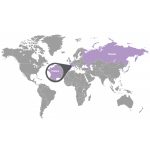 doTERRA Muskotályzsálya (Clary Sage) esszenciális illóolaj 15 ml