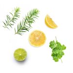 dōTERRA Purify™ Frissítő esszenciális illóolaj-keverék 15 ml