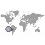 doTERRA Petitgrain (Petitgrain) esszenciális illóolaj 15 ml