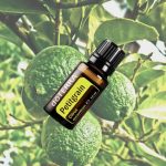 doTERRA Petitgrain (Petitgrain) esszenciális illóolaj 15 ml