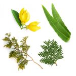 TerraShield™ spray Kültéri esszenciális illóolaj-keverék 30 ml