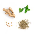 dōTERRA ZenGest™ Touch 10 ml