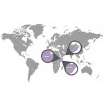 doTERRA Tömjén (Frankincense) Touch 10 ml