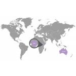 doTERRA Teafa (Melaleuca) Touch 10 ml