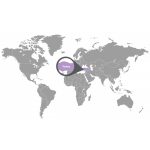 doTERRA Szurokfű (Oregano) Touch 10 ml