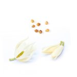 Steady™ Kiegyensúlyozó keverék