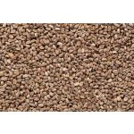 doTERRA Zellermag (Celery Seed) esszenciális illóolaj 15 ml