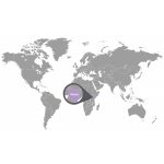 doTERRA Vietnámi Eukaliptusz (Lemon Eucalyptus) esszenciális illóolaj 15 ml