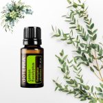 doTERRA Vietnámi Eukaliptusz (Lemon Eucalyptus) esszenciális illóolaj 15 ml